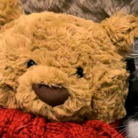 Fan先生零食铺💖