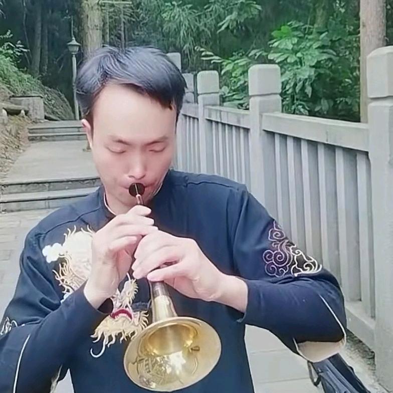 阿海Surnā