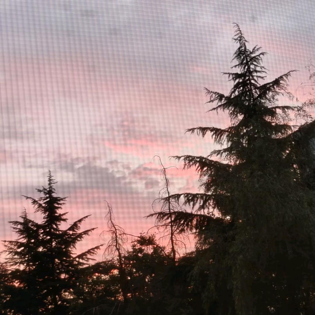 翻斗花园牛爷爷