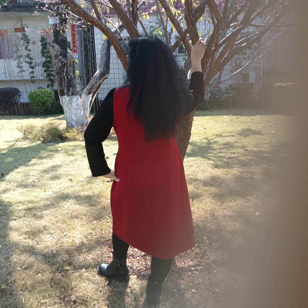 好运连连🍎🍎🍎🐷🐷🐷