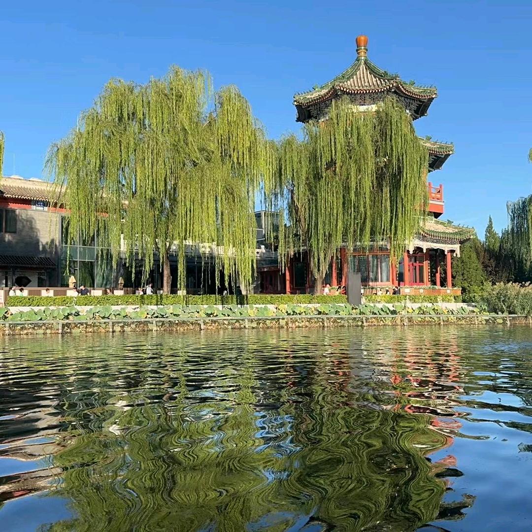 西门丫庆