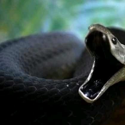 记得忘记不值得的过往