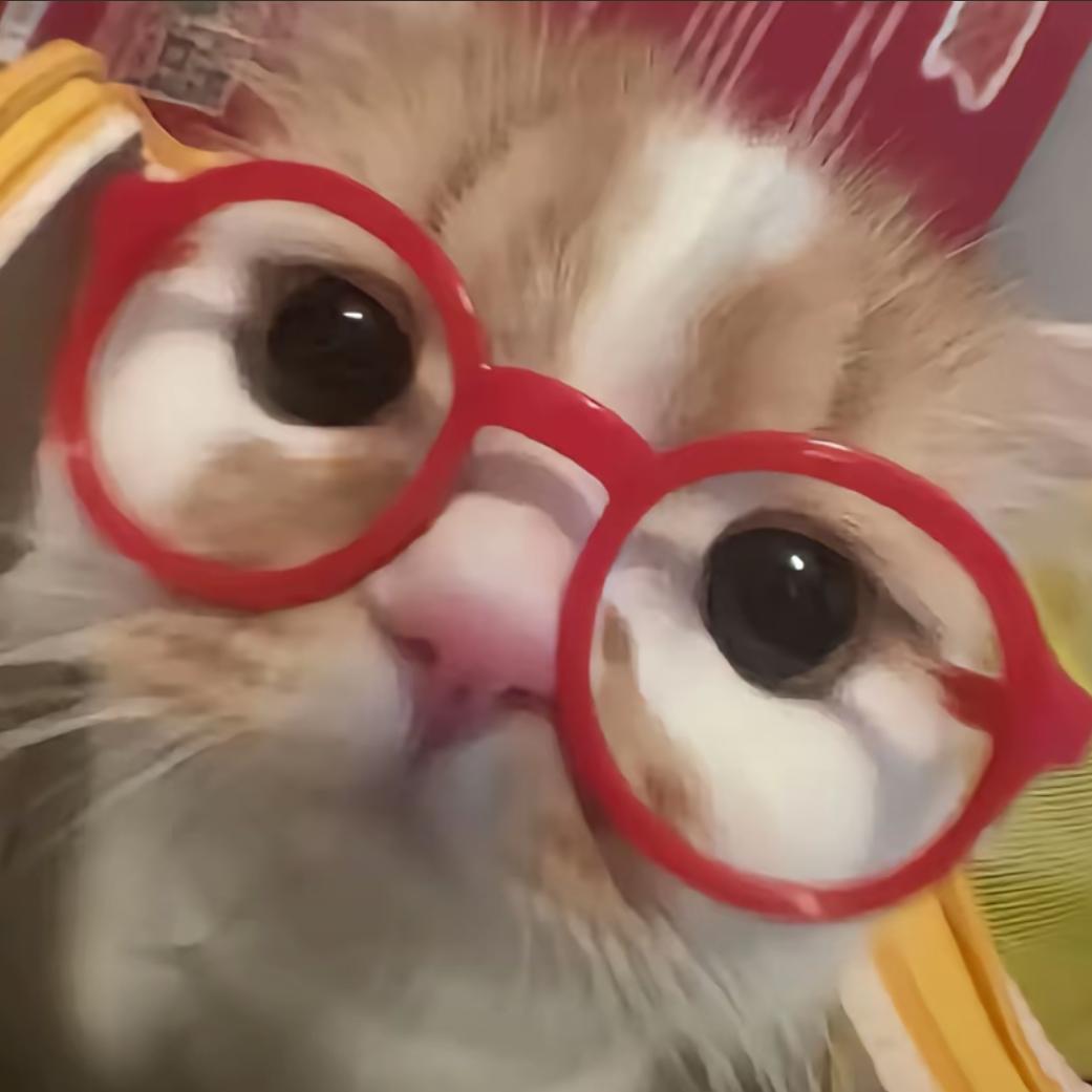 小宅Zz