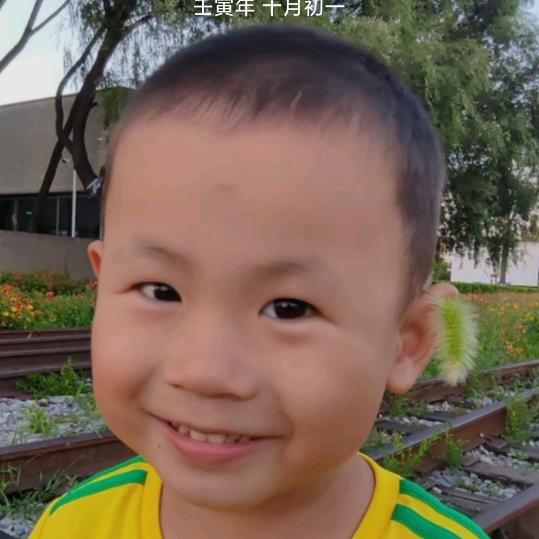 嘟嘟漂漂和软软