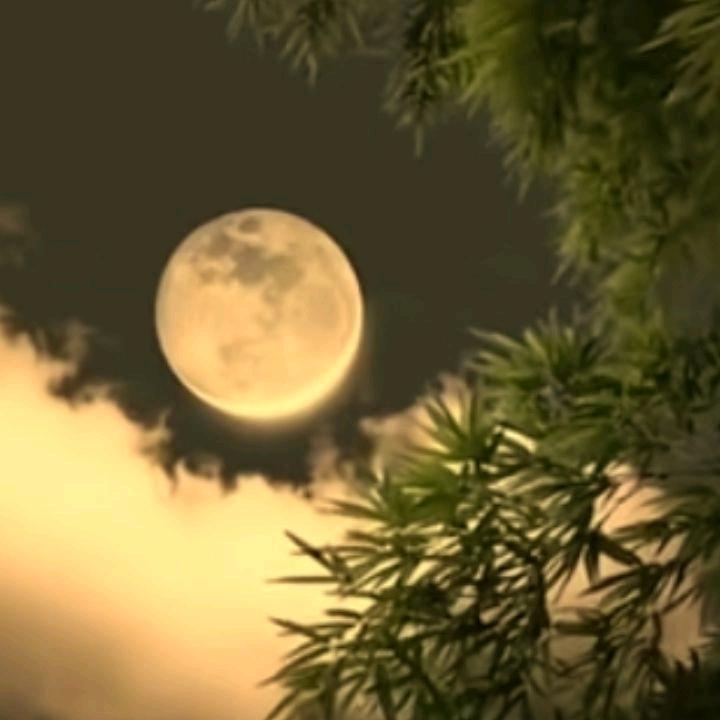 夜💦里💔的💐星❄空