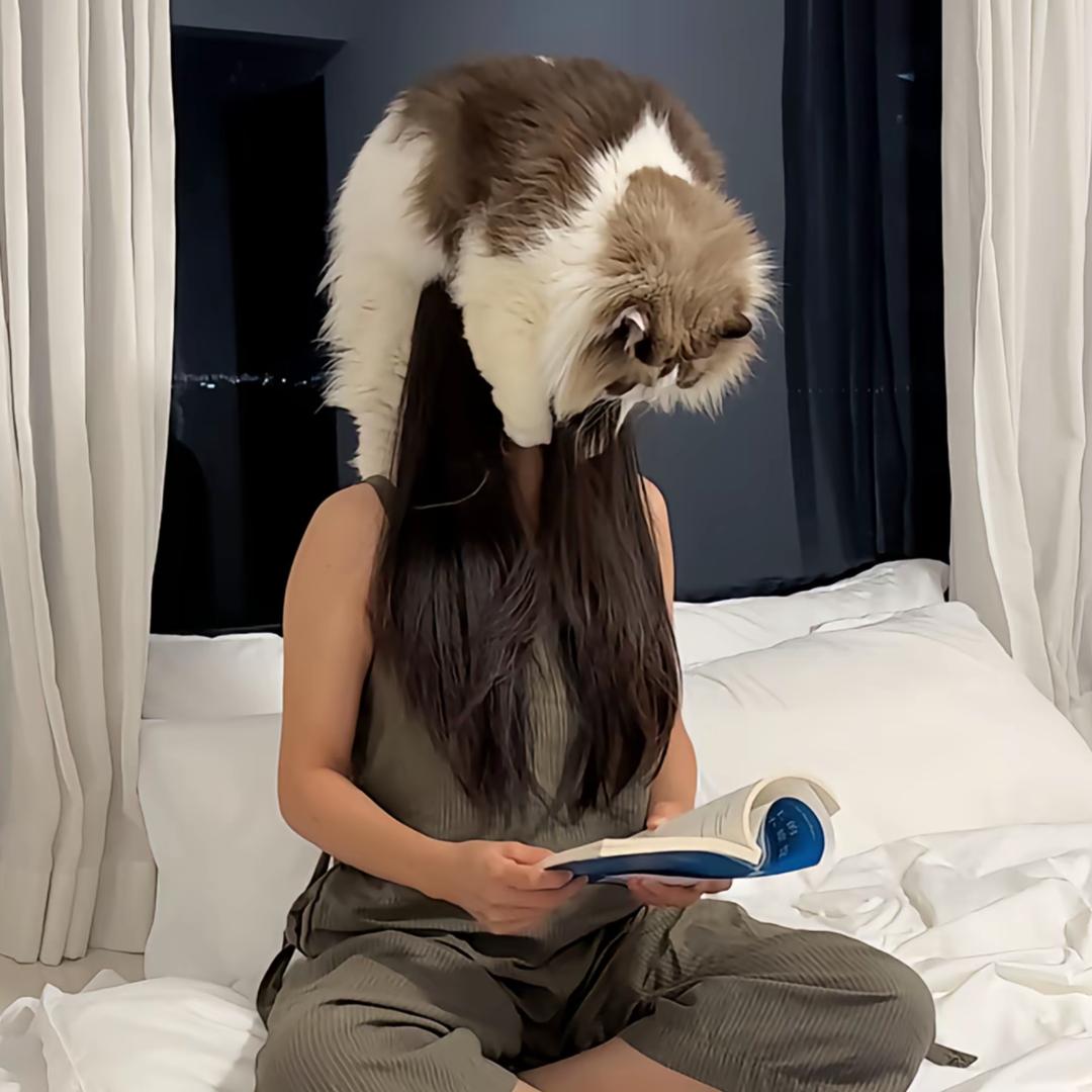 耶耶（努力版）