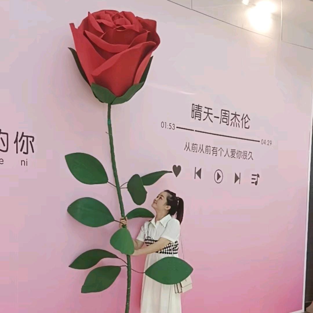 凤儿