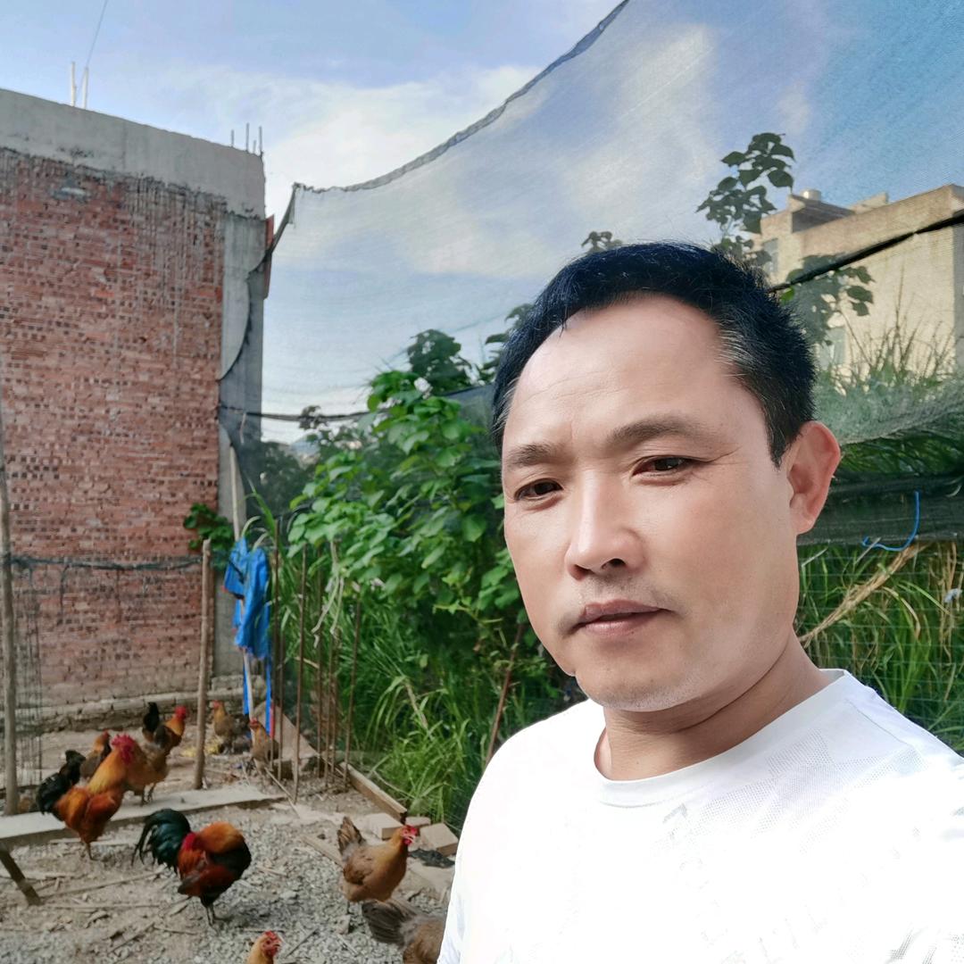 正直（榕江中高端家禽批零）