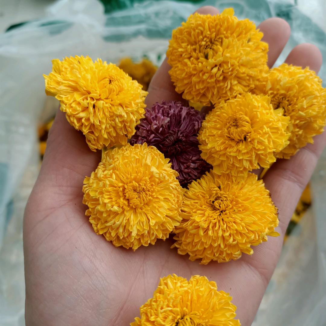 好人一生福厚得载物