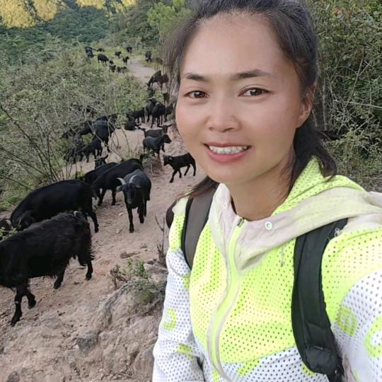 贵州放羊妹