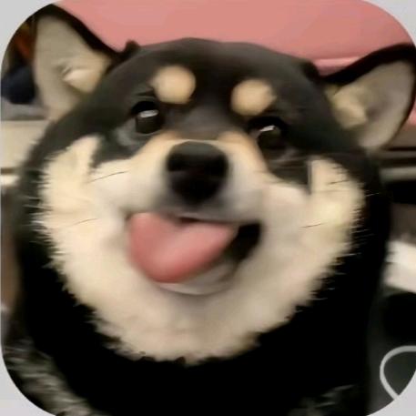 沙子馒头