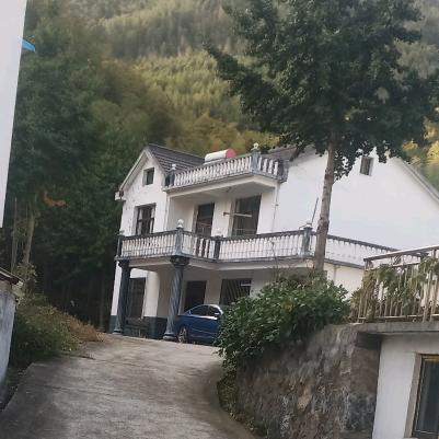 流星&泪(橱窗有好物)