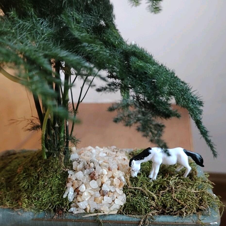 小妖已成精