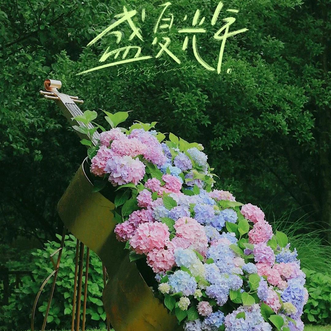 盛夏光景绿植基地