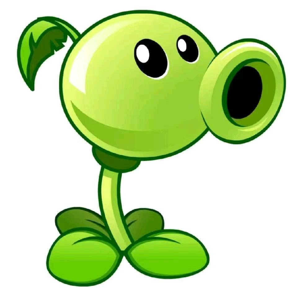 小阳