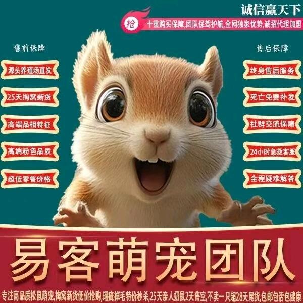 多宝