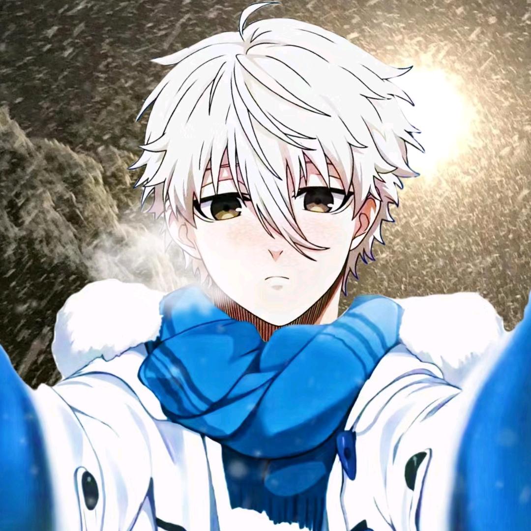 ⁺✞ʚnagi重度依赖ɞ✟₊