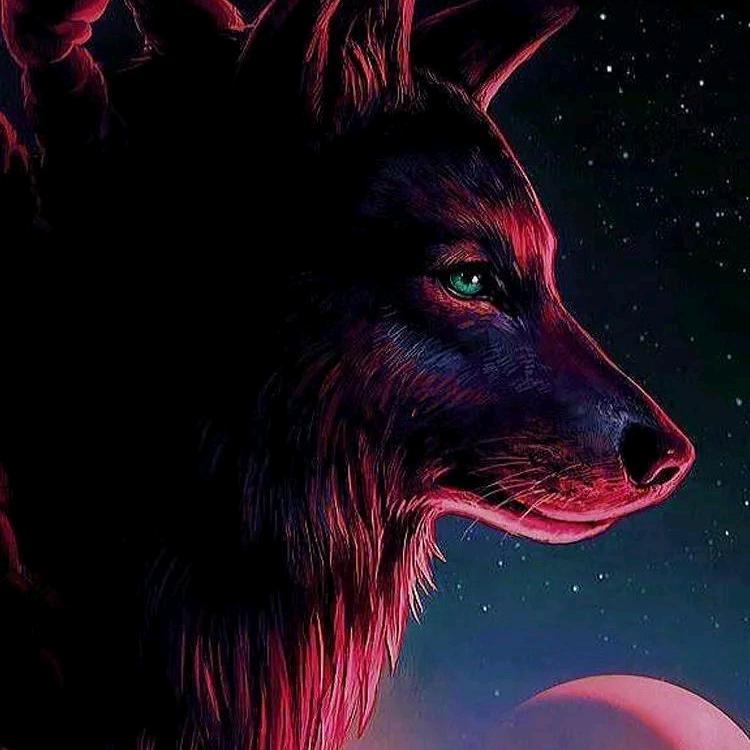 轻舟已过万重山