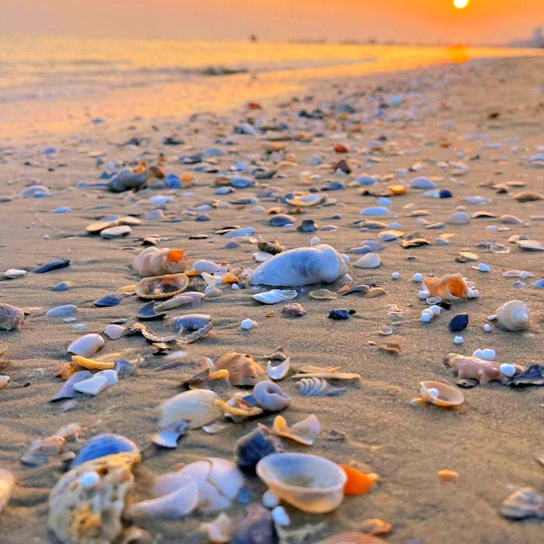 三亚方诚赶海旅游俱乐部