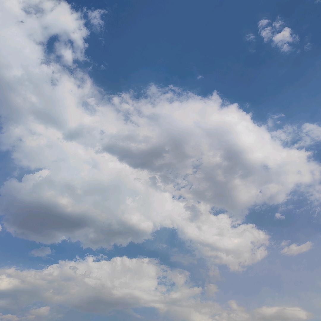 毛笔.书法.练字