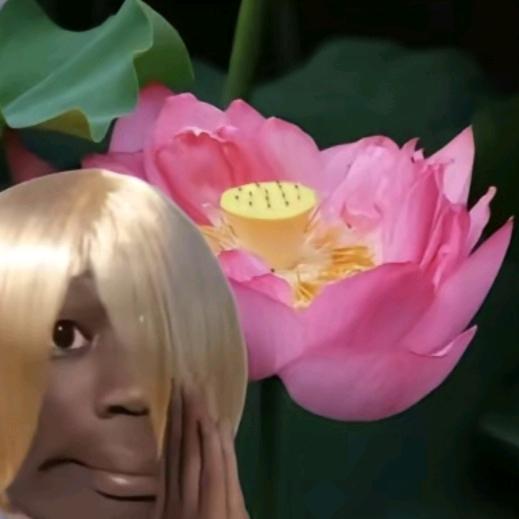 花开富贵💐🌹🌹🌹