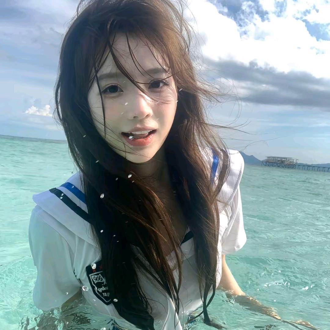 白菜