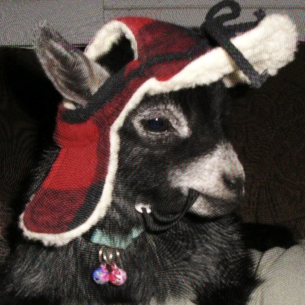 命苦的农村入૮ต•̤ ༝ •̤ตა