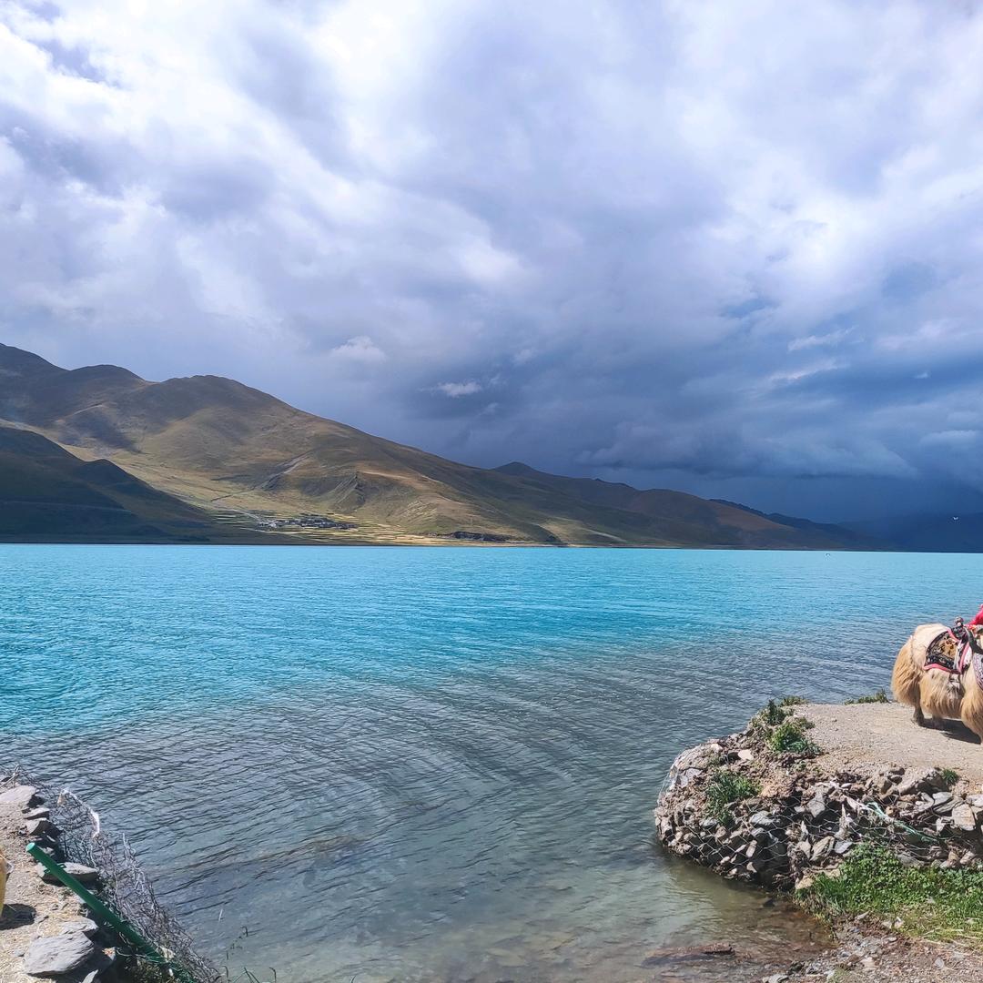 人生若只如初见