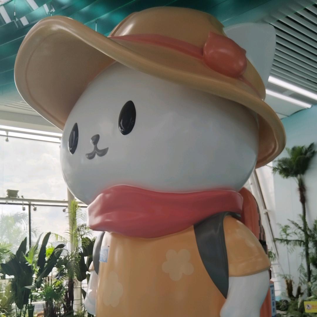 努力的小高