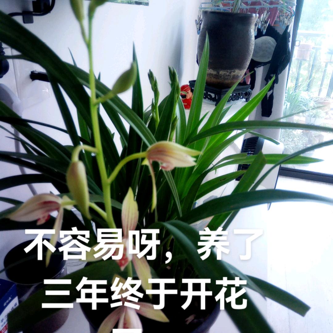 勿忘初心