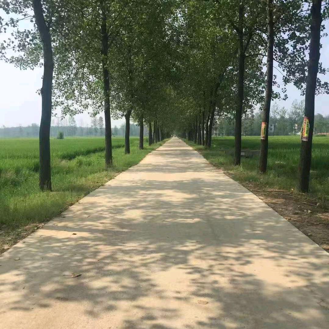 拾光小记簿