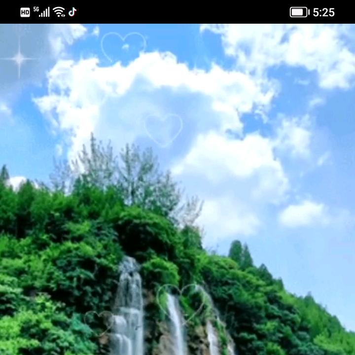 赵美景