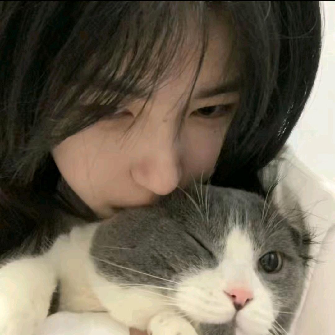 高冷小小猫667