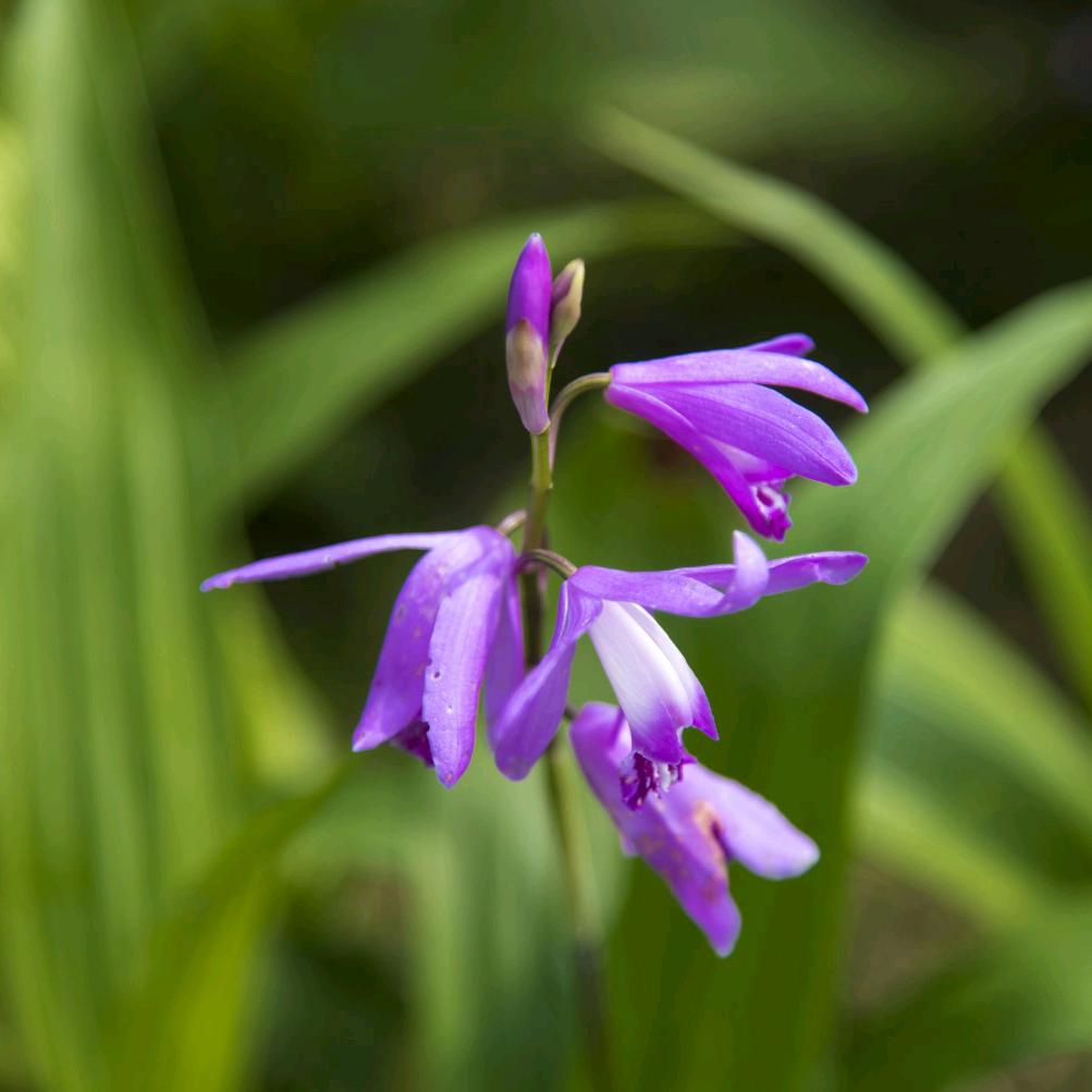 假的像真的一样