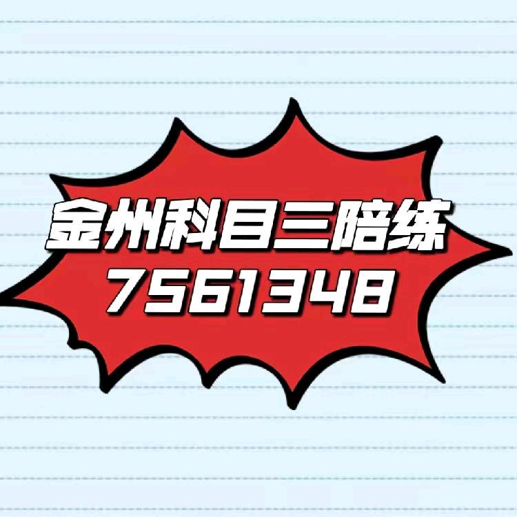 金州科目三大师群哥