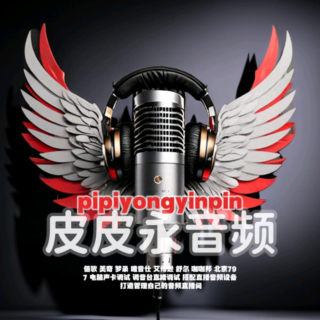 皮皮永音频