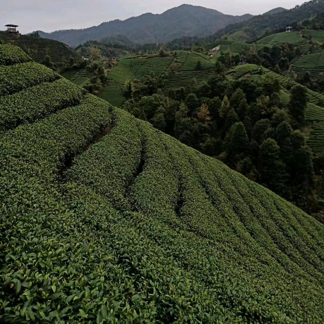 怀集二哥土特产商店