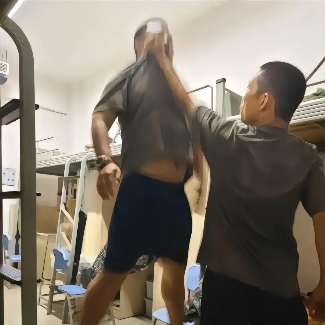 坐在椅子上的一条狗你好，旺旺旺旺旺旺旺旺