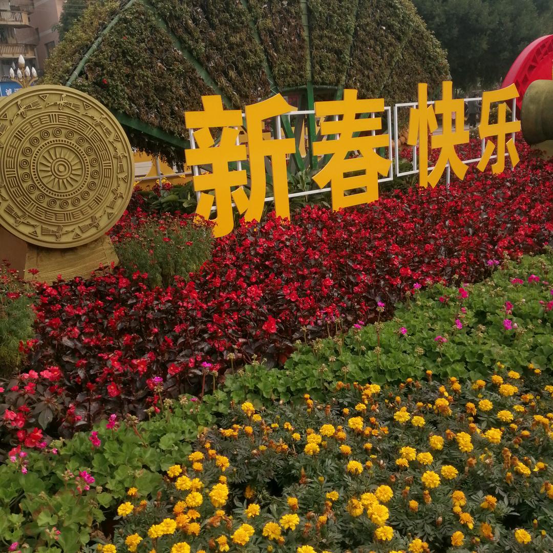 亲爱的啊扬😊