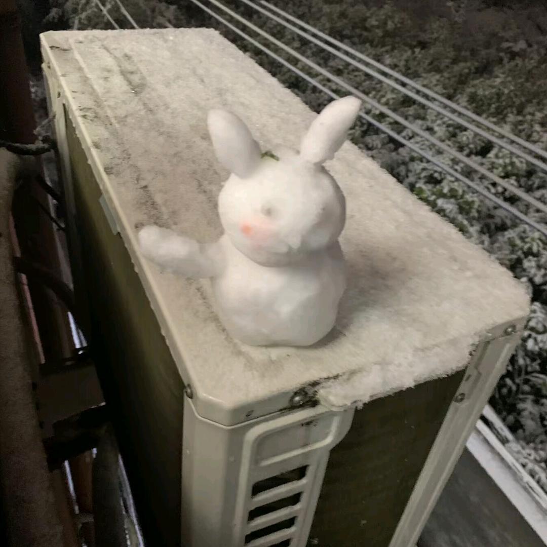 (༼ つ ◕‿◕ ༽つ