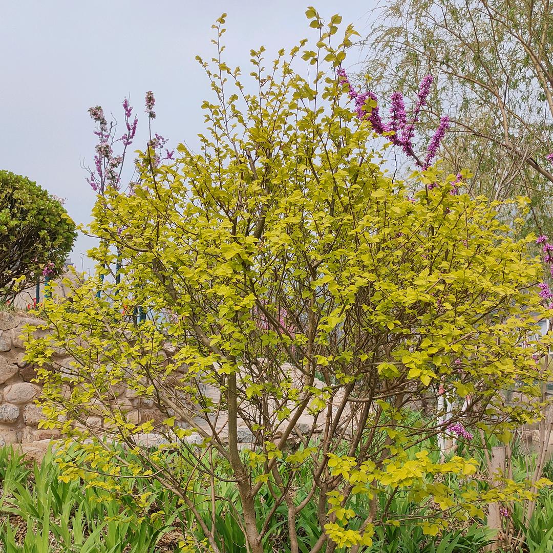 名品严选好货店