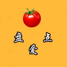 番茄爱盘点