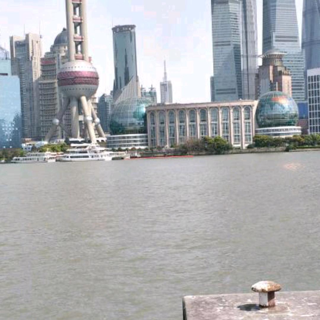 飘泊的心