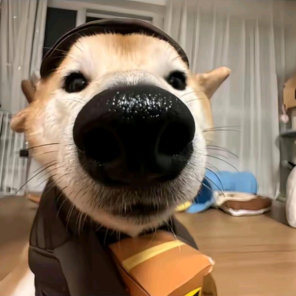 熬不了夜的小登