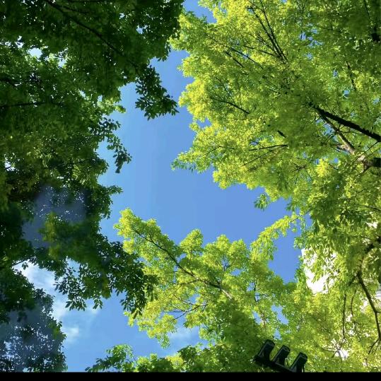 清凉夏天