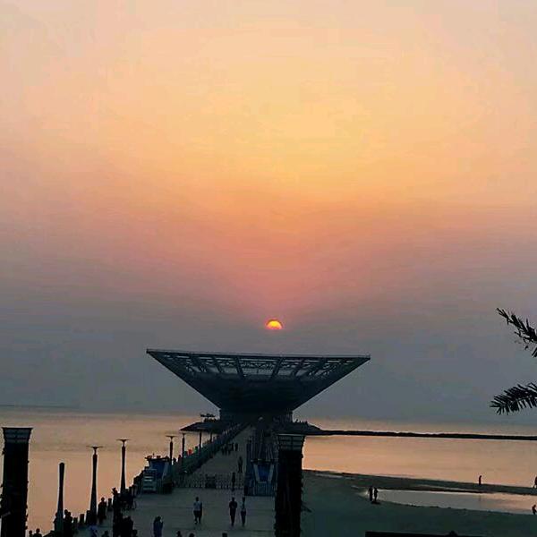 阳光总在风雨后