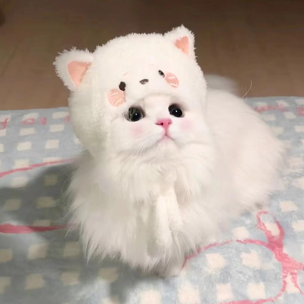 可乐鸡翅