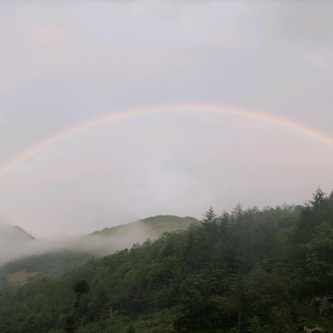 平平淡淡的慈姐姐