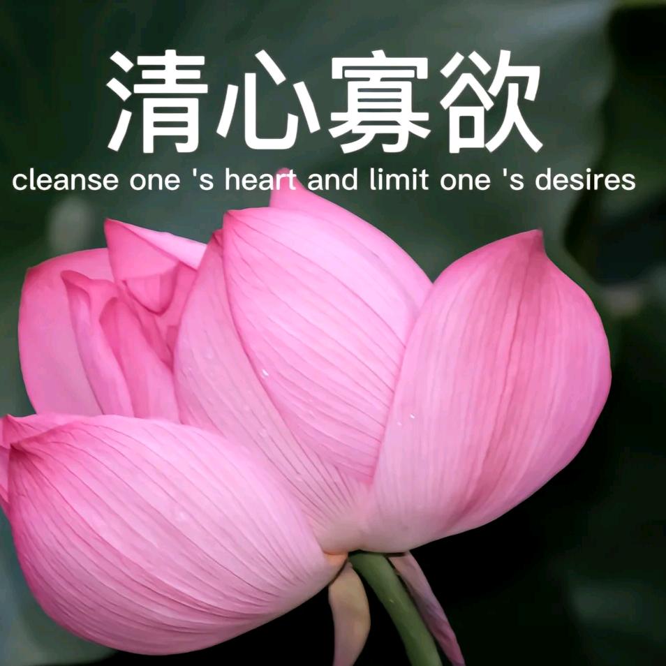 加工大队.