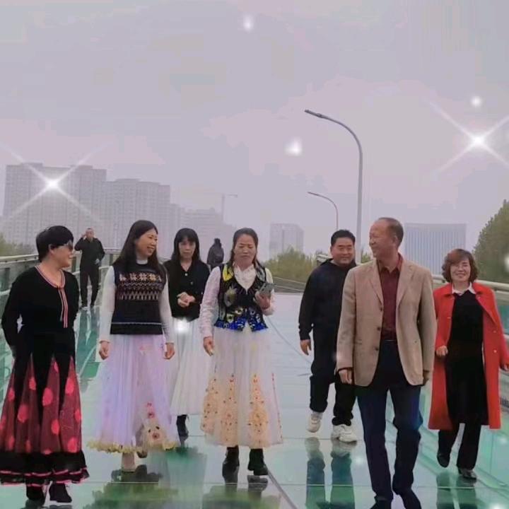 发财树